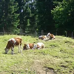 Berghof * ヴァルガウ